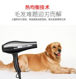 宝润宠物吹风机8028 专业狗狗美容的理想之选