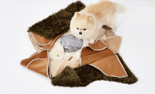 专为宠物而生 宠物美容用品设计如何提升宠物的幸福感