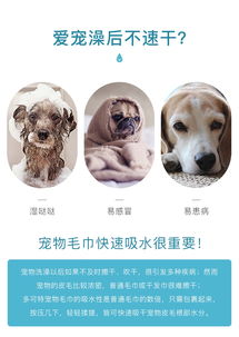 怡亲宠物吸水毛巾 爱宠美容的贴心伴侣